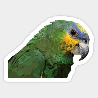 Orange-winged Amazon Sticker